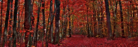 Marta Santaeulària-2