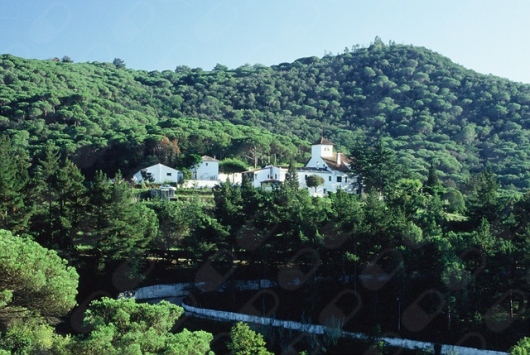 Jose Maria Fabregas Pedrell-1