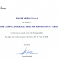 Acercar imagen: certificate 2
