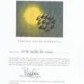 Acercar imagen: certificate 20