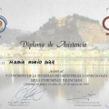 Acercar imagen: certificate 9