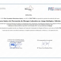 Acercar imagen: certificate 9