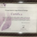 Acercar imagen: certificate 5