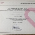 Acercar imagen: certificate 7