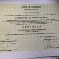 Acercar imagen: certificate 10