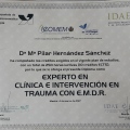 Acercar imagen: certificate 1