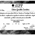 Acercar imagen: certificate 11
