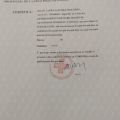 Acercar imagen: certificate 19