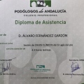 Acercar imagen: certificate 8