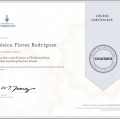 Acercar imagen: certificate 5