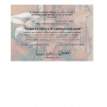 Acercar imagen: certificate 1