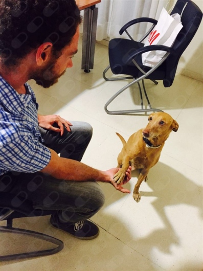 Manuel Cruces Cuberos-0