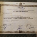 Acercar imagen: certificate 5