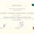 Acercar imagen: certificate 9