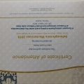 Acercar imagen: certificate 5