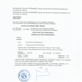 Acercar imagen: certificate 17