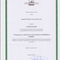 Acercar imagen: certificate 12
