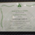 Acercar imagen: certificate 2
