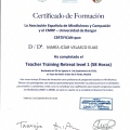 Acercar imagen: certificate 9