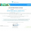 Acercar imagen: certificate 10