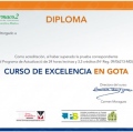 Acercar imagen: certificate 2