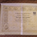 Acercar imagen: certificate 13