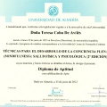 Acercar imagen: certificate 3