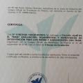 Acercar imagen: certificate 11