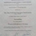 Acercar imagen: certificate 2