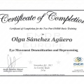 Acercar imagen: certificate 7