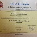 Acercar imagen: certificate 2