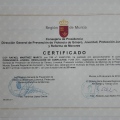 Acercar imagen: certificate 7