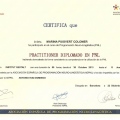 Acercar imagen: certificate 5