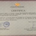 Acercar imagen: certificate 6