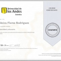 Acercar imagen: certificate 3