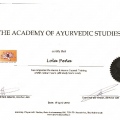 Acercar imagen: certificate 11