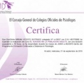 Acercar imagen: certificate 3