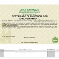 Acercar imagen: certificate 33