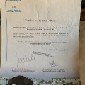 Acercar imagen: certificate 21