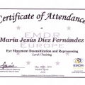 Acercar imagen: certificate 5