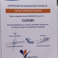 Acercar imagen: certificate 11