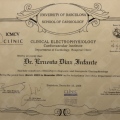 Acercar imagen: certificate 5