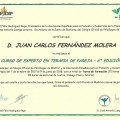 Acercar imagen: certificate 12