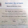 Acercar imagen: certificate 6