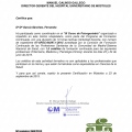 Acercar imagen: certificate 29