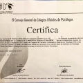 Acercar imagen: certificate 6