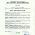 Acercar imagen: certificate 11