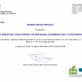 Acercar imagen: certificate 6