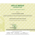 Acercar imagen: certificate 3
