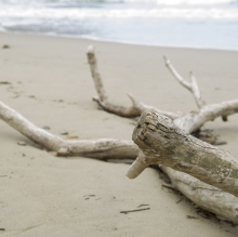 Acercar imagen: Patricia Solar, Psicólogo Oviedo